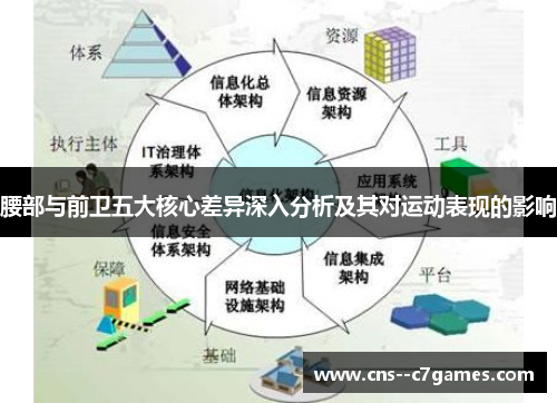 腰部与前卫五大核心差异深入分析及其对运动表现的影响