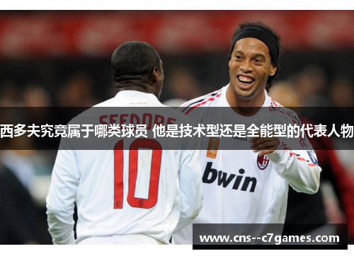 西多夫究竟属于哪类球员 他是技术型还是全能型的代表人物 西多夫究竟属于哪类球员 他是技术型还是全能型的代表人物